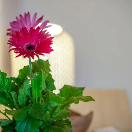 Casa Delizia Apartment Positano